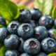 blueberries are keto friendly