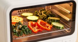 low carb dehydrated foods