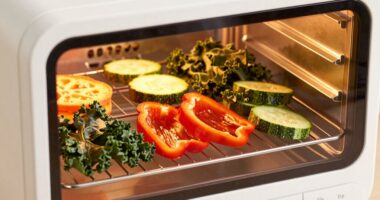 low carb dehydrated foods