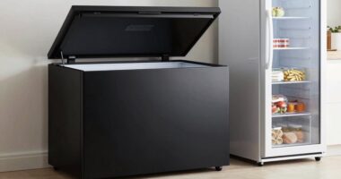 freezer types comparison guide