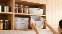 10 Best Cabinet Organizers in 2026