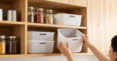 10 Best Cabinet Organizers in 2026
