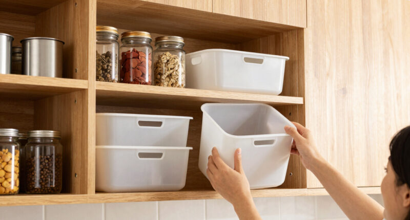 10 Best Cabinet Organizers in 2026