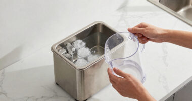 14 Best Nugget Ice Makers in 2026
