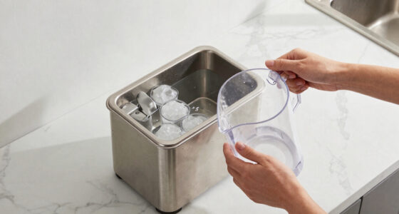 14 Best Nugget Ice Makers in 2026