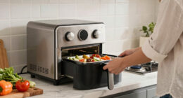 15 Best Air Fryer Toaster Ovens in 2026