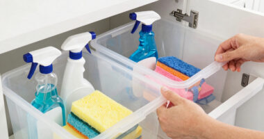 I Tested Pinterest’s Favorite Under-Sink Organizer, and I’m Buying Two More While They’re on Sale