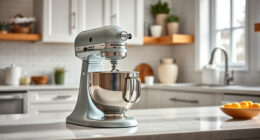 Is the KitchenAid Professional 600 Worth It? Honest Review