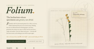 FOLIUM — A Living Herbarium (FABLE/175)