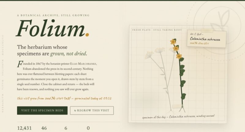 FOLIUM — A Living Herbarium (FABLE/175)