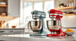 KitchenAid Professional 600 vs Mini: Full Comparison