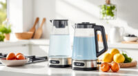 Stay Cool This Summer with Ninja KT200BL Precision Electric Kettle