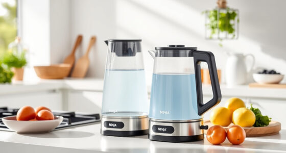 Stay Cool This Summer with Ninja KT200BL Precision Electric Kettle