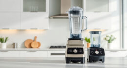 Vitamix 5200 Review: Power, Performance & Who It's For