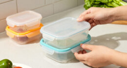12 Best Lunchbox Food Storage Containers in 2026