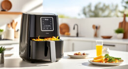 Summer Care Tips for Your Ninja Air Fryer 4 Qt