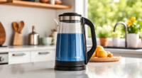 Summer Care & Troubleshooting for Ninja KT200BL Electric Kettle