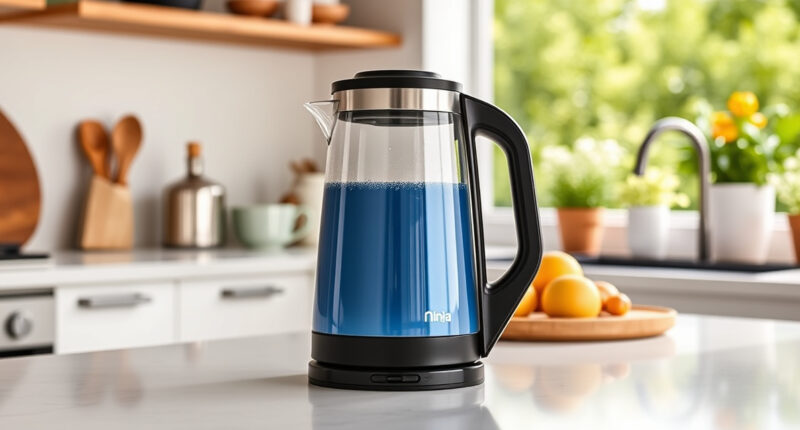 Summer Care & Troubleshooting for Ninja KT200BL Electric Kettle