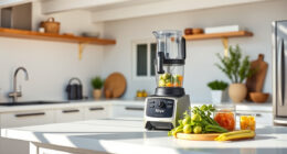 Summer Care & Troubleshooting for the Ninja BN805A Pro Plus Kitchen System