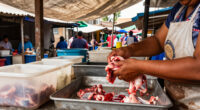 Unregulated Meat Stalls In Bogotá Pose Food Safety Risks