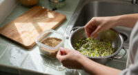Sprouting Seeds Recalled Because Of Potential Contamination With Salmonella, E. Coli