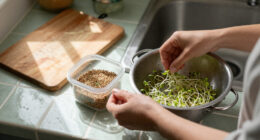 Sprouting Seeds Recalled Because Of Potential Contamination With Salmonella, E. Coli