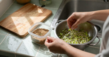 Sprouting Seeds Recalled Because Of Potential Contamination With Salmonella, E. Coli